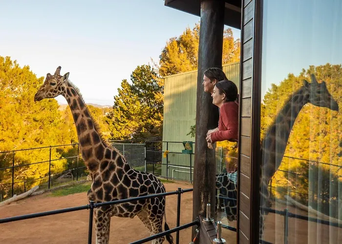 Jamala Wildlife Lodge