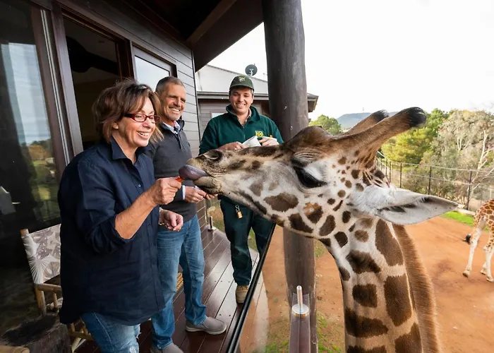 Jamala Wildlife Lodge