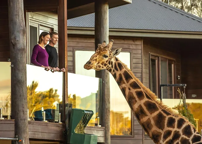 Jamala Wildlife Lodge
